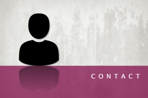 Contact Persons